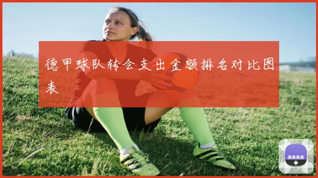 德甲球队转会支出金额排名对比图表
