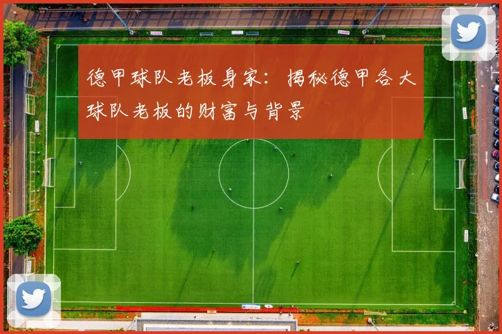 德甲球队老板身家：揭秘德甲各大球队老板的财富与背景
