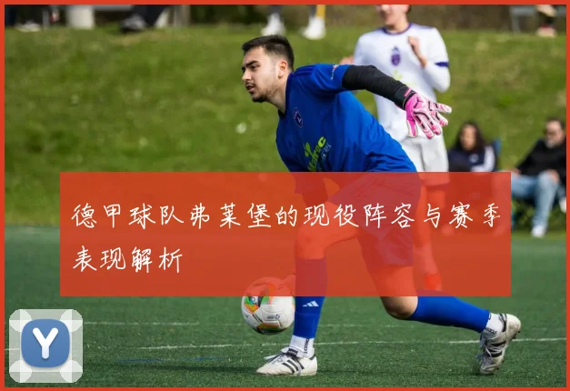 德甲球队弗莱堡的现役阵容与赛季表现解析